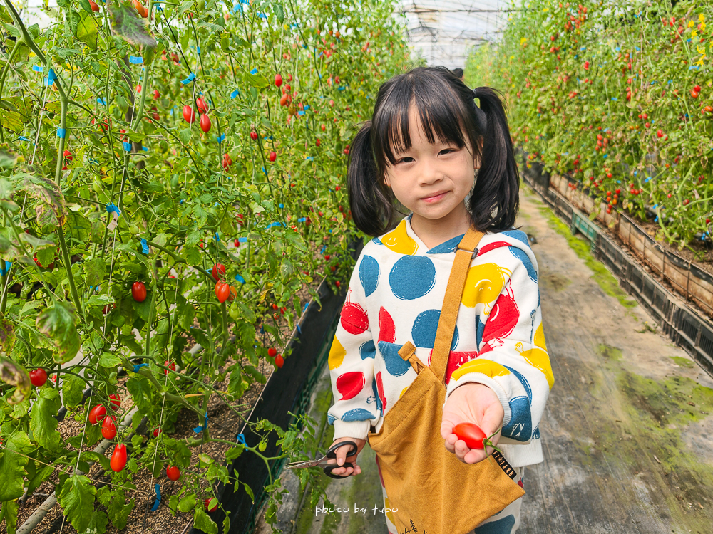 苗栗豪華露營推薦｜自然圈農場Glamping，一泊三食全包式親子露營攻略，包場100坪獨享空間