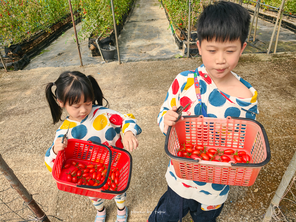 苗栗豪華露營推薦｜自然圈農場Glamping，一泊三食全包式親子露營攻略，包場100坪獨享空間