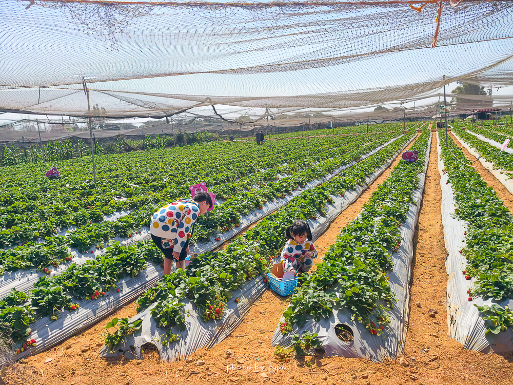 苗栗豪華露營推薦｜自然圈農場Glamping，一泊三食全包式親子露營攻略，包場100坪獨享空間