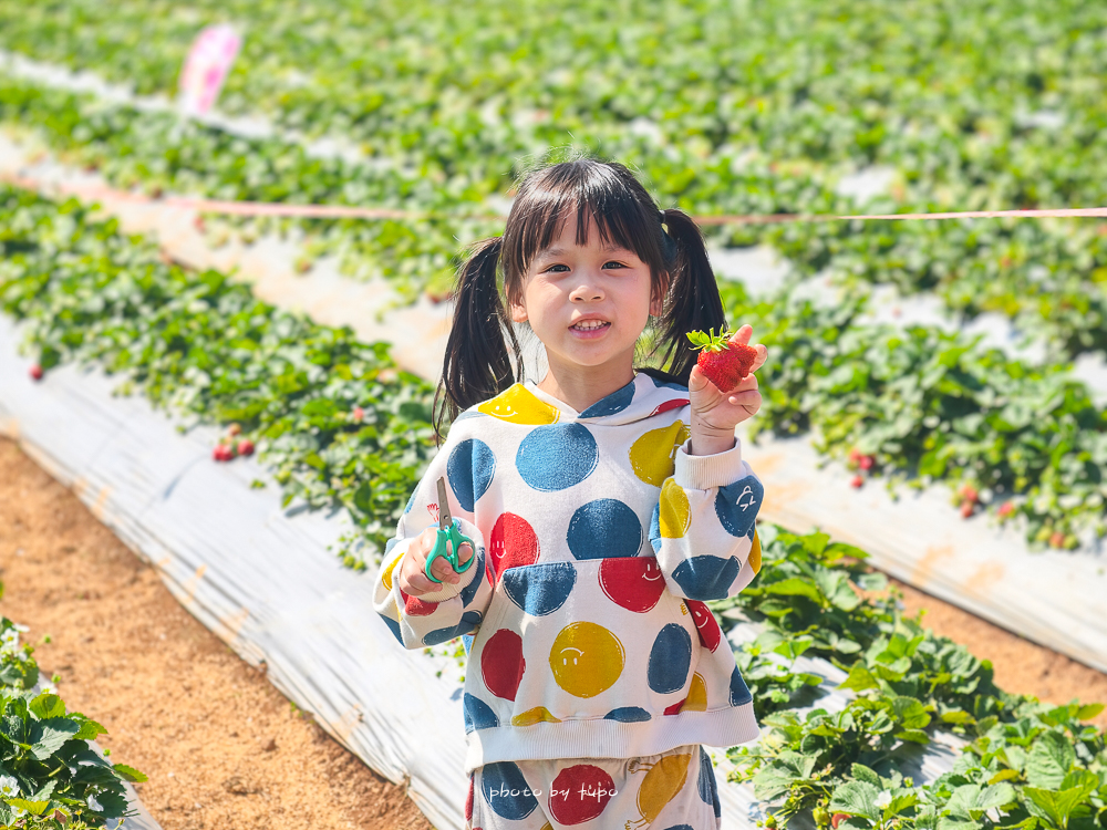 苗栗豪華露營推薦｜自然圈農場Glamping，一泊三食全包式親子露營攻略，包場100坪獨享空間