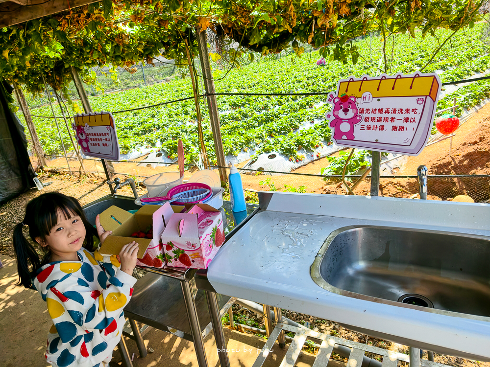 苗栗豪華露營推薦｜自然圈農場Glamping，一泊三食全包式親子露營攻略，包場100坪獨享空間