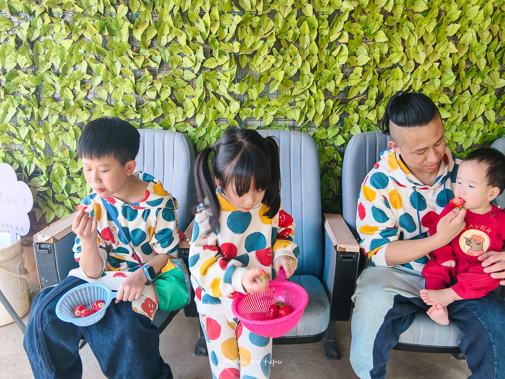 苗栗豪華露營推薦｜自然圈農場Glamping，一泊三食全包式親子露營攻略，包場100坪獨享空間