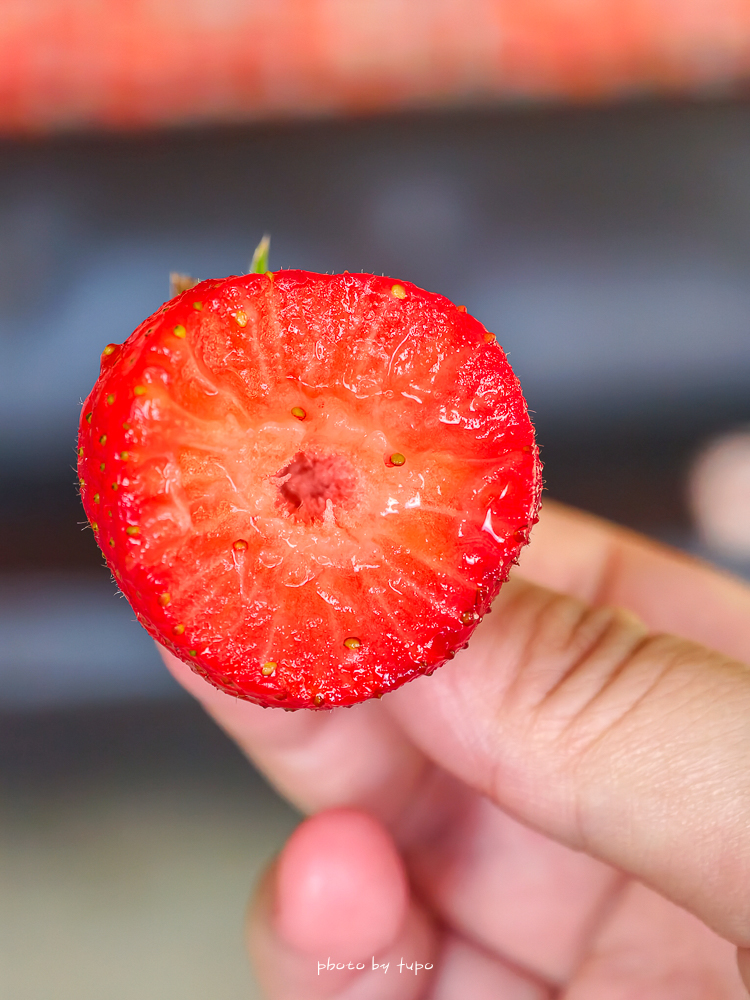 苗栗豪華露營推薦｜自然圈農場Glamping，一泊三食全包式親子露營攻略，包場100坪獨享空間