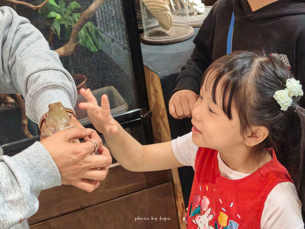 苗栗豪華露營推薦｜自然圈農場Glamping，一泊三食全包式親子露營攻略，包場100坪獨享空間