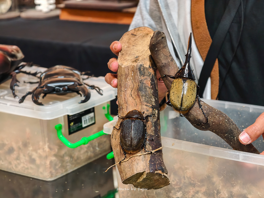 苗栗豪華露營推薦｜自然圈農場Glamping，一泊三食全包式親子露營攻略，包場100坪獨享空間