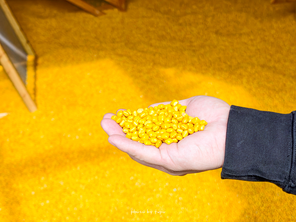 彰化百果山探索樂園2.0重新開幕！彰化親子景點恐龍世界攻略｜12項全新遊樂設施、門票優惠與適合年紀整理