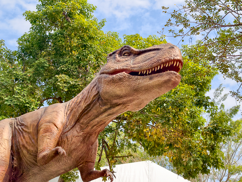 彰化百果山探索樂園2.0重新開幕！彰化親子景點恐龍世界攻略｜12項全新遊樂設施、門票優惠與適合年紀整理