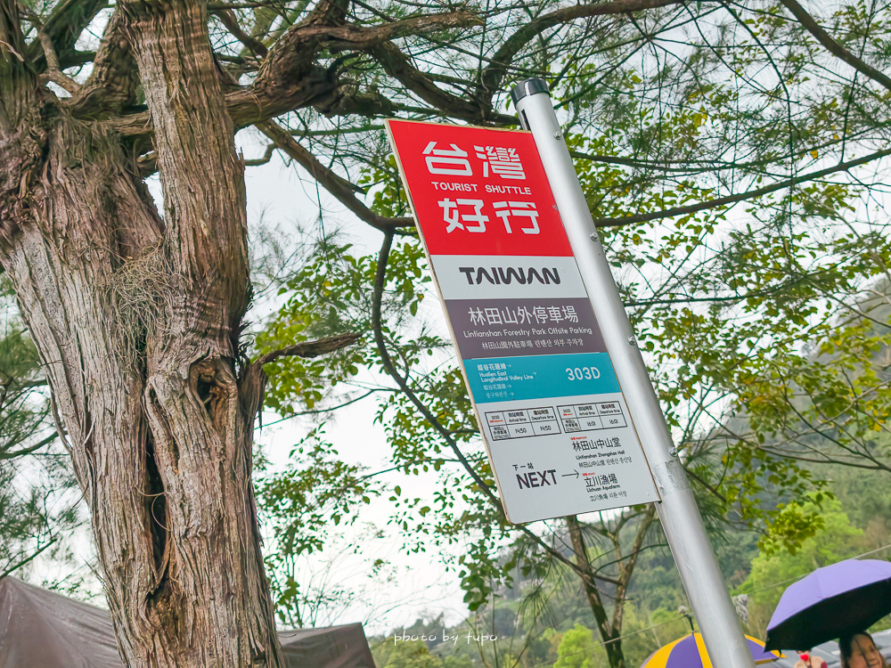 花蓮最新景點｜萬榮溫泉公園免費泡腳池開放＋林田山林業文化園區順遊（花蓮親子半日遊）