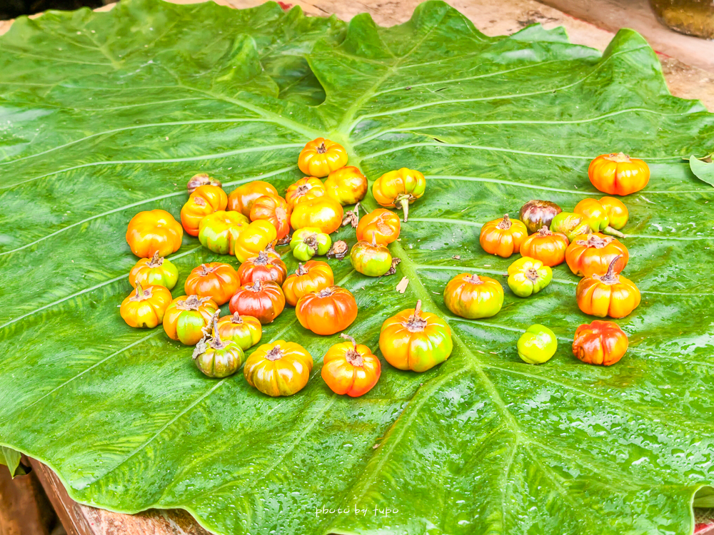 花蓮最新景點｜萬榮溫泉公園免費泡腳池開放＋林田山林業文化園區順遊（花蓮親子半日遊）