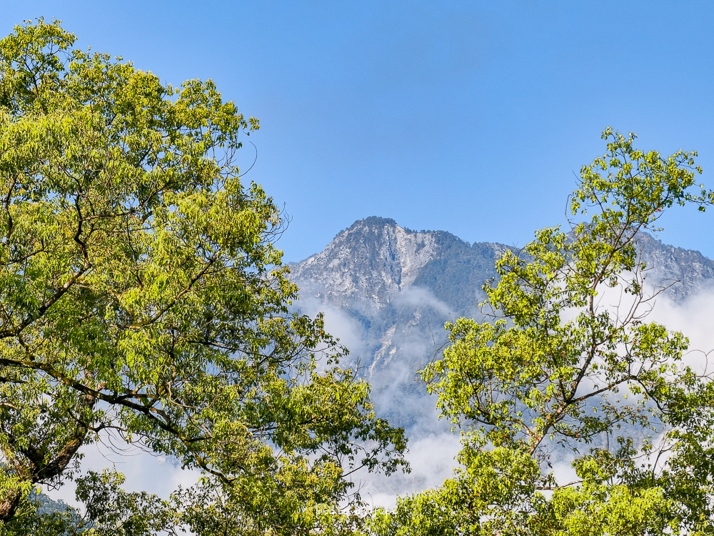 花蓮瑞穗住宿推薦｜天成逸旅蝴蝶谷，森林溫泉Villa一泊二食，螢火蟲季必住＋煮蛋煮玉米＋宵夜免費吃