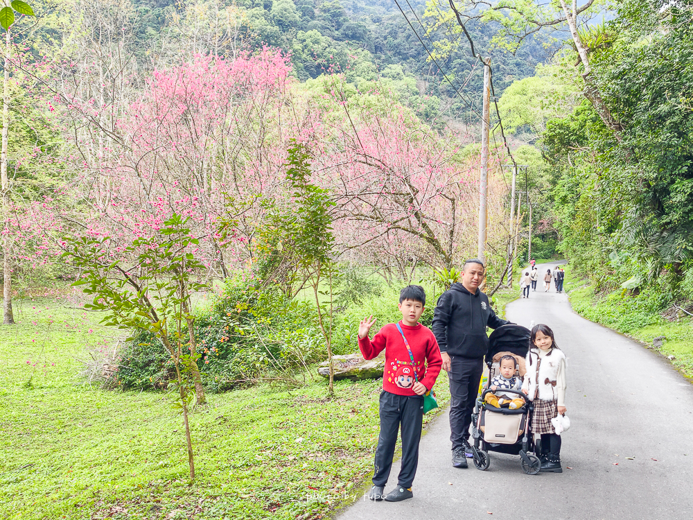 花蓮瑞穗住宿推薦｜天成逸旅蝴蝶谷，森林溫泉Villa一泊二食，螢火蟲季必住＋煮蛋煮玉米＋宵夜免費吃