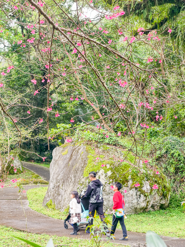 花蓮瑞穗住宿推薦｜天成逸旅蝴蝶谷，森林溫泉Villa一泊二食，螢火蟲季必住＋煮蛋煮玉米＋宵夜免費吃