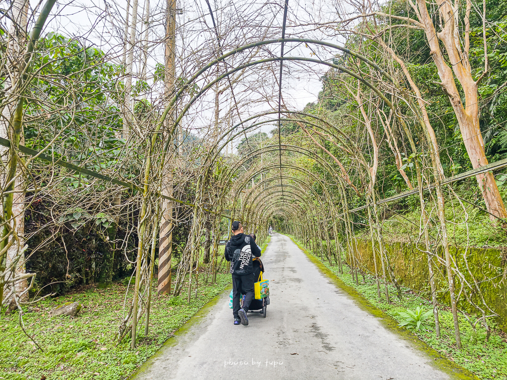 花蓮瑞穗住宿推薦｜天成逸旅蝴蝶谷，森林溫泉Villa一泊二食，螢火蟲季必住＋煮蛋煮玉米＋宵夜免費吃