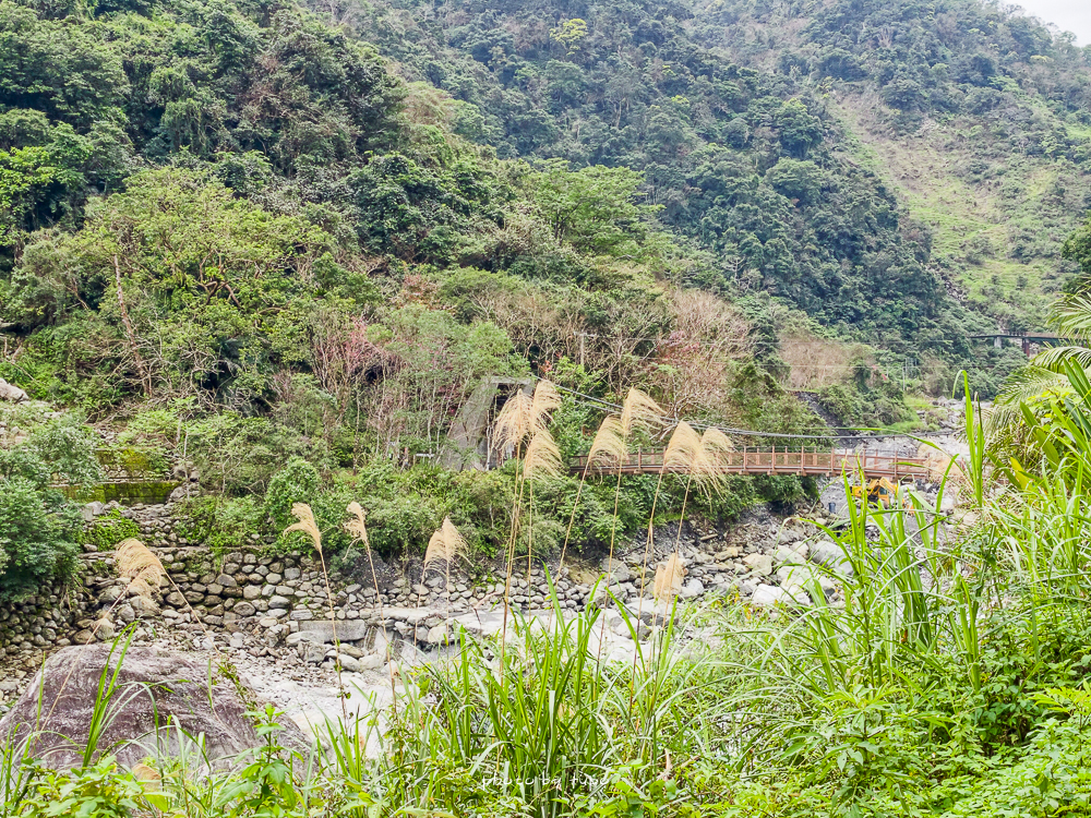 花蓮瑞穗住宿推薦｜天成逸旅蝴蝶谷，森林溫泉Villa一泊二食，螢火蟲季必住＋煮蛋煮玉米＋宵夜免費吃