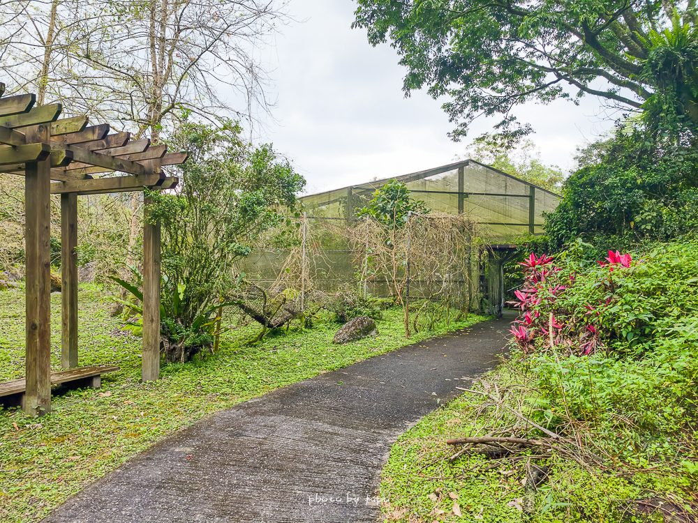 花蓮瑞穗住宿推薦｜天成逸旅蝴蝶谷，森林溫泉Villa一泊二食，螢火蟲季必住＋煮蛋煮玉米＋宵夜免費吃