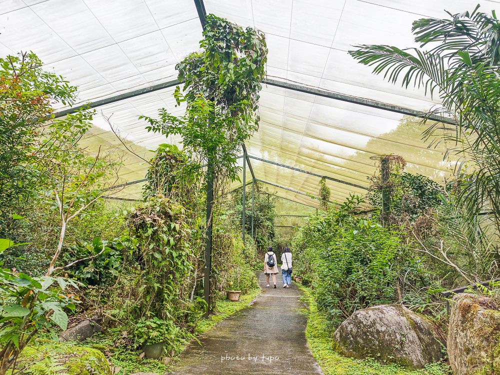 花蓮瑞穗住宿推薦｜天成逸旅蝴蝶谷，森林溫泉Villa一泊二食，螢火蟲季必住＋煮蛋煮玉米＋宵夜免費吃