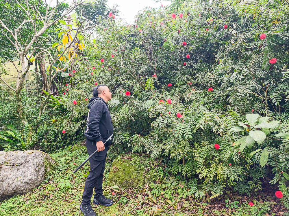 花蓮瑞穗住宿推薦｜天成逸旅蝴蝶谷，森林溫泉Villa一泊二食，螢火蟲季必住＋煮蛋煮玉米＋宵夜免費吃
