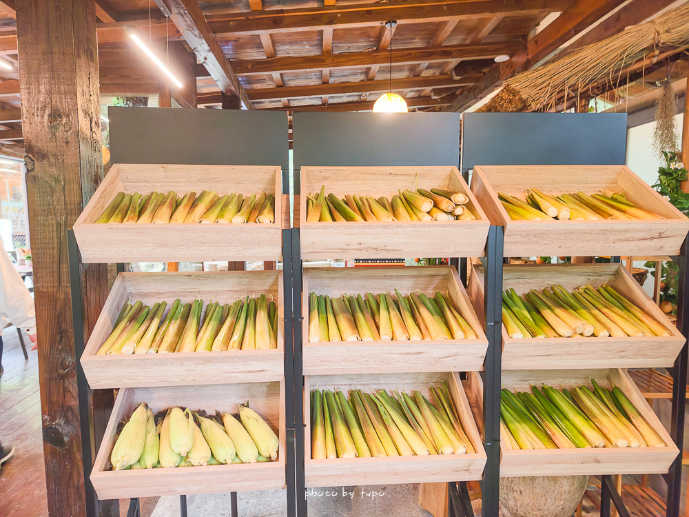 花蓮瑞穗住宿推薦｜天成逸旅蝴蝶谷，森林溫泉Villa一泊二食，螢火蟲季必住＋煮蛋煮玉米＋宵夜免費吃