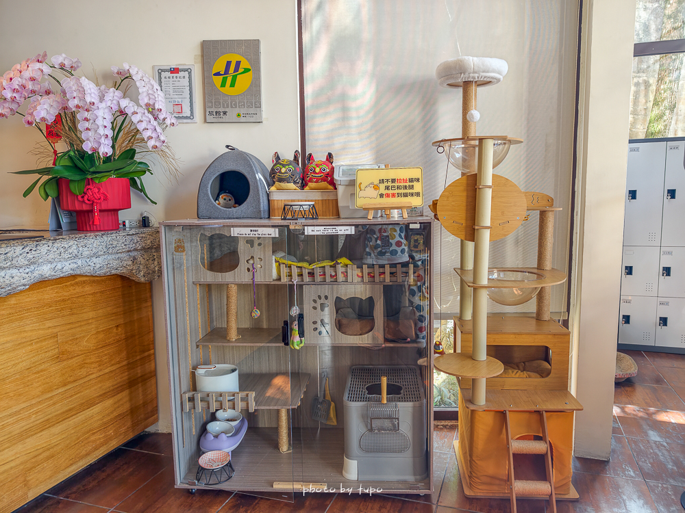 日月潭住宿推薦｜力麗哲園飯店月潭館＋日潭館比較｜高CP值親子飯店、全包式包九族門票樂園門票真的香！