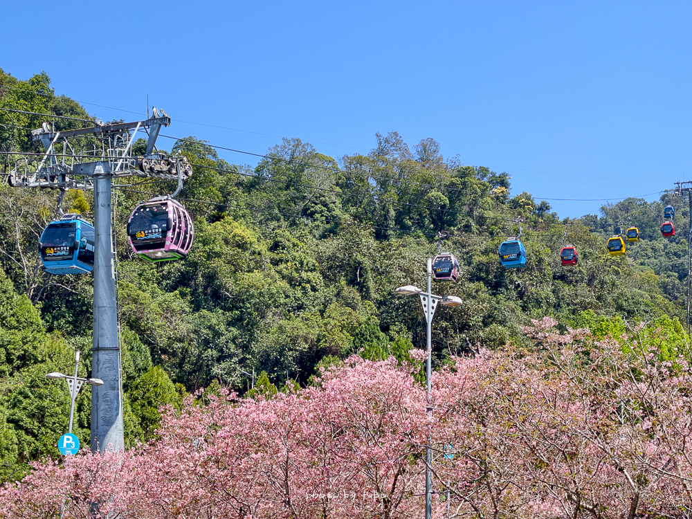 日月潭住宿推薦｜力麗哲園飯店月潭館＋日潭館比較｜高CP值親子飯店、全包式包九族門票樂園門票真的香！