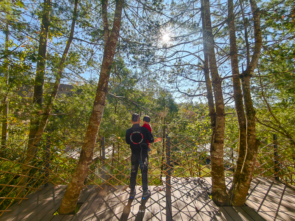 南投森林系Villa推薦｜葉子祕境 YATS 森林Villa 1.2萬坪森林秘境住宿，暑假首檔優惠升等一泊三食晚餐免費送