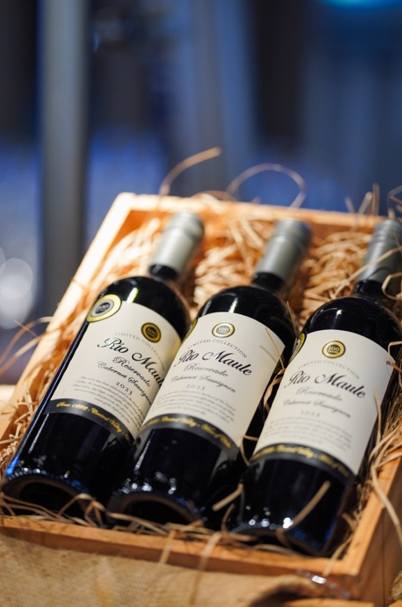 桃園親子飯店推薦｜桃園和逸飯店，送2位兒童未滿12歲免費、巧虎樂園、平日再升等和逸客房，優惠$1200海洋禮包XPARK門票2張+吉祥物娃娃