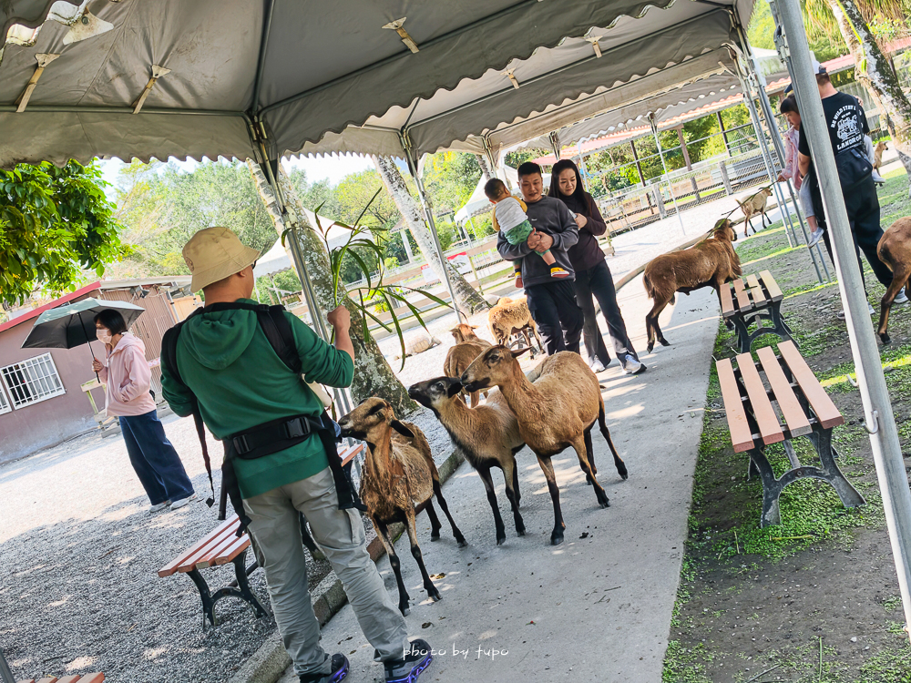 花蓮親子住宿推薦｜兆豐農場-拓村泉旅開箱，動物園區互動、電動車逛園區、溫泉一次玩（最新團購）