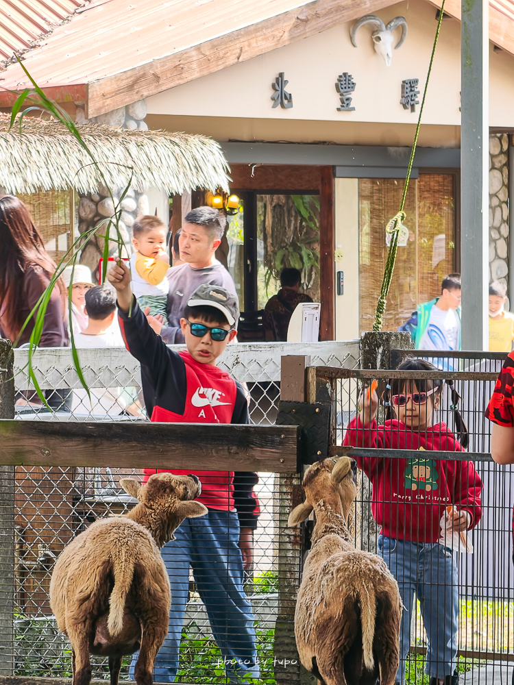 花蓮親子住宿推薦｜兆豐農場-拓村泉旅開箱，動物園區互動、電動車逛園區、溫泉一次玩（最新團購）
