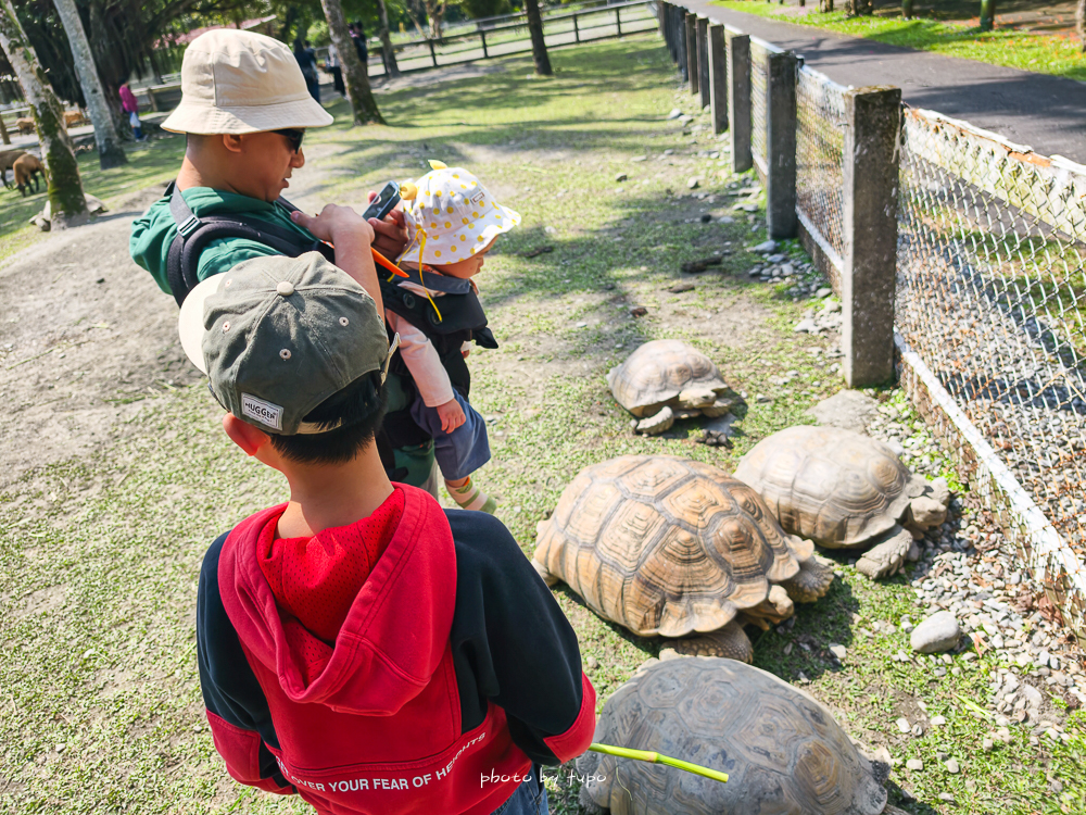 花蓮親子住宿推薦｜兆豐農場-拓村泉旅開箱，動物園區互動、電動車逛園區、溫泉一次玩（最新團購）
