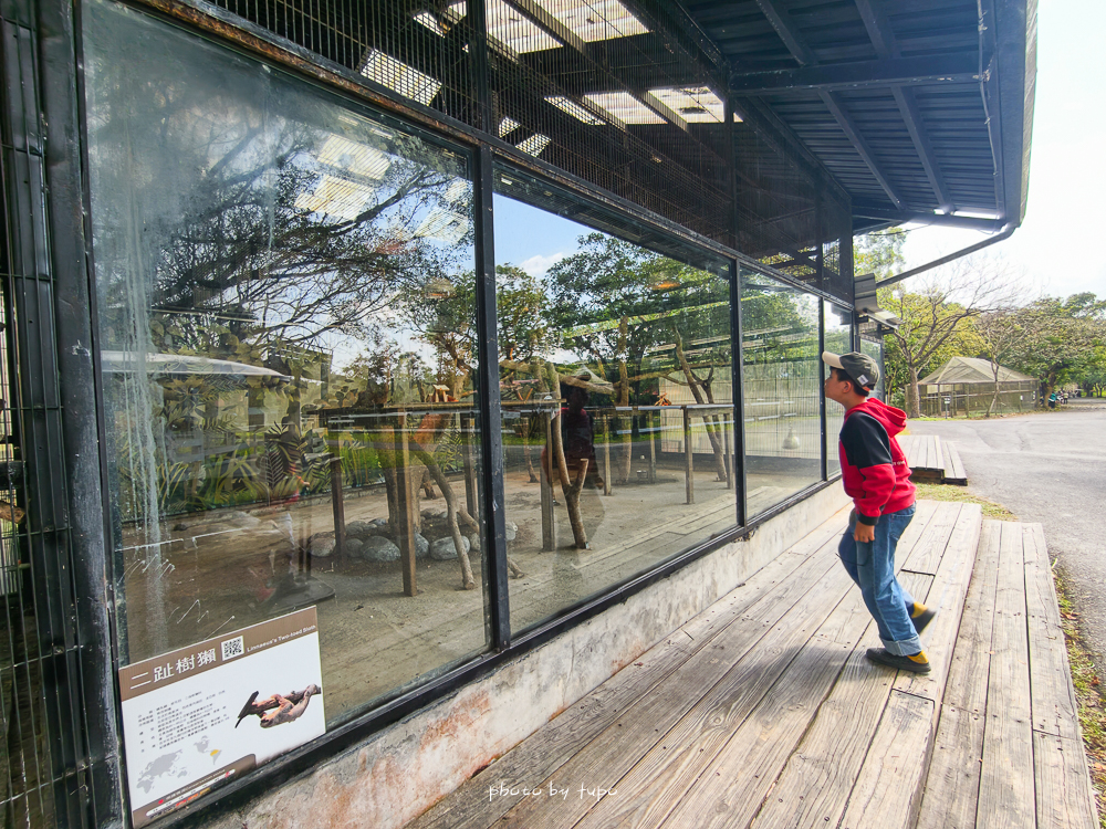 花蓮親子住宿推薦｜兆豐農場-拓村泉旅開箱，動物園區互動、電動車逛園區、溫泉一次玩（最新團購）