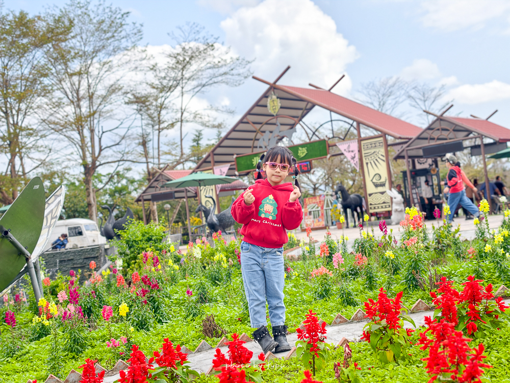 花蓮親子住宿推薦｜兆豐農場-拓村泉旅開箱，動物園區互動、電動車逛園區、溫泉一次玩（最新團購）