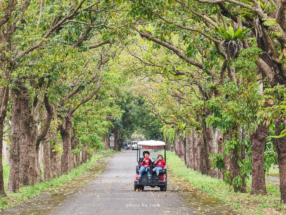 花蓮親子住宿推薦｜兆豐農場-拓村泉旅開箱，動物園區互動、電動車逛園區、溫泉一次玩（最新團購）