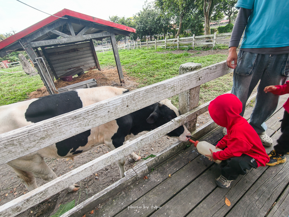 花蓮親子住宿推薦｜兆豐農場-拓村泉旅開箱，動物園區互動、電動車逛園區、溫泉一次玩（最新團購）