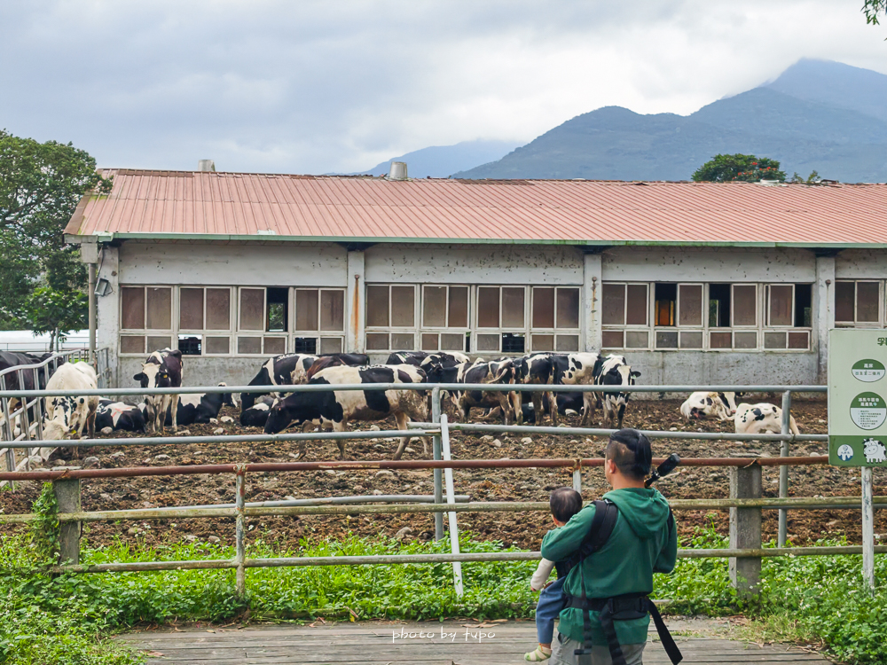 花蓮親子住宿推薦｜兆豐農場-拓村泉旅開箱，動物園區互動、電動車逛園區、溫泉一次玩（最新團購）