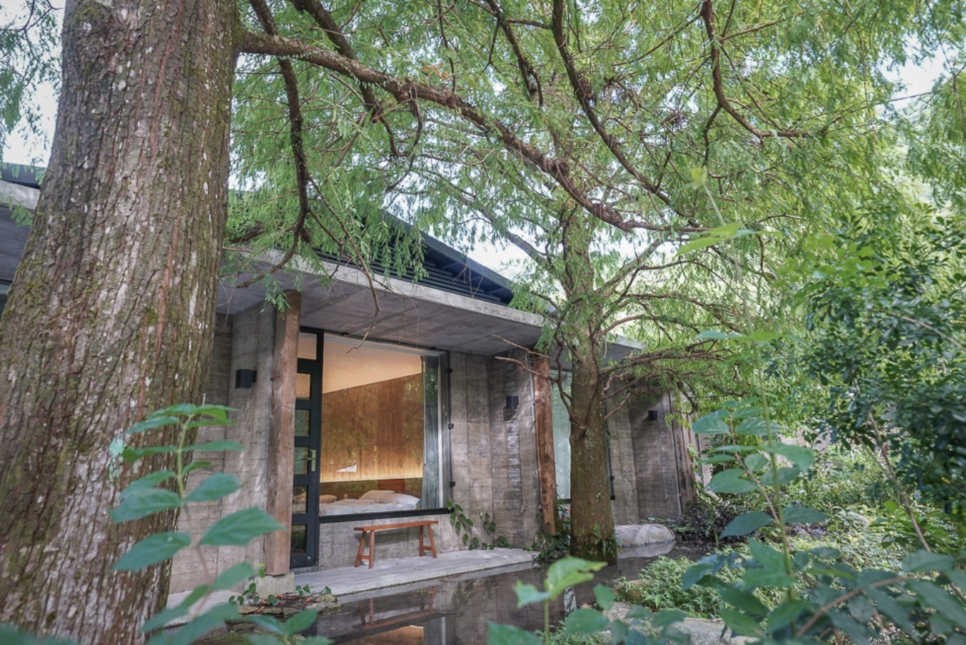 宜蘭螢火蟲住宿推薦｜三富休閒農場團購2026最新優惠，一年效期住宿券＋夜間導覽撈魚撈蝦這樣玩！ @小腹婆大世界