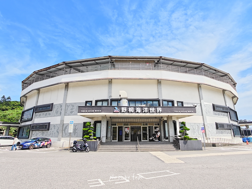 2026野柳海洋世界好玩嗎？門票、交通、表演時間，海豚生態導覽、美人魚秀、海龜池一次玩