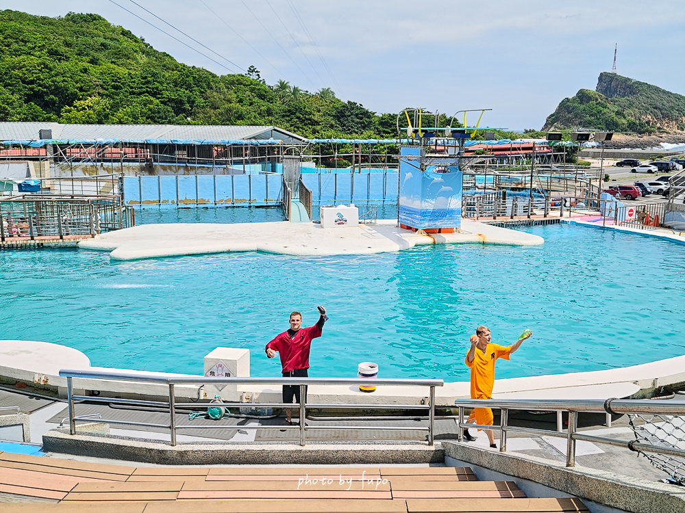 2026野柳海洋世界好玩嗎？門票、交通、表演時間，海豚生態導覽、美人魚秀、海龜池一次玩
