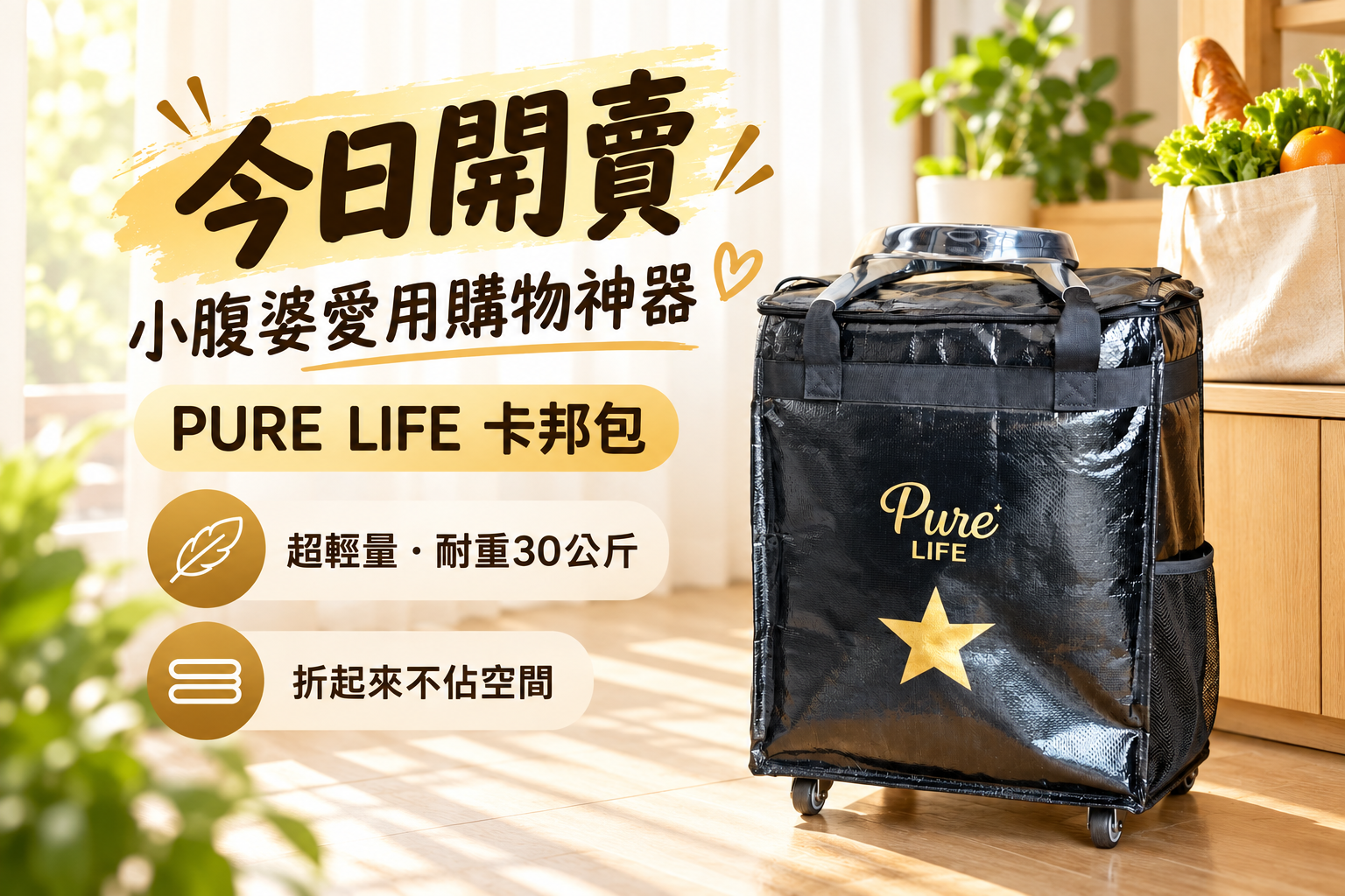 PURE LIFE 可折疊附輪休閒購物卡邦包