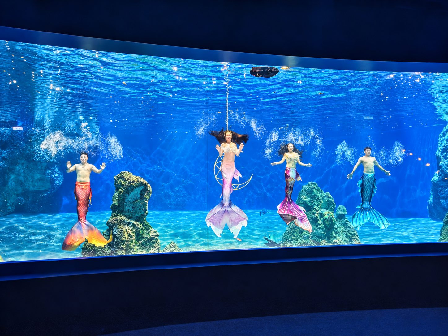2026花蓮悅樂旅店團購｜三天二夜送遠雄海洋公園門票，雙人房$1999起加贈兒童免費住，爆米花、泡麵宵夜免費吃