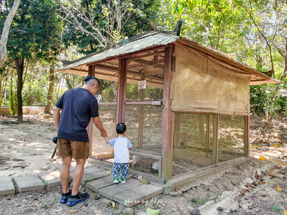 2026苗栗大湖住宿｜巧克力雲莊民宿二訪開箱！陽台就是整片草莓園，樓中樓家庭房、巧克力DIY新款、晚餐早餐、夜間點燈一次看