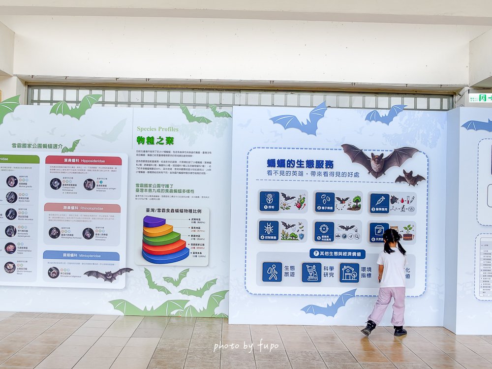 2026苗栗大湖免費親子景點｜雪霸國家公園汶水遊客中心，超大山林造景、山椒魚、台灣黑熊標本、木頭溜滑梯，雨天備案一次玩