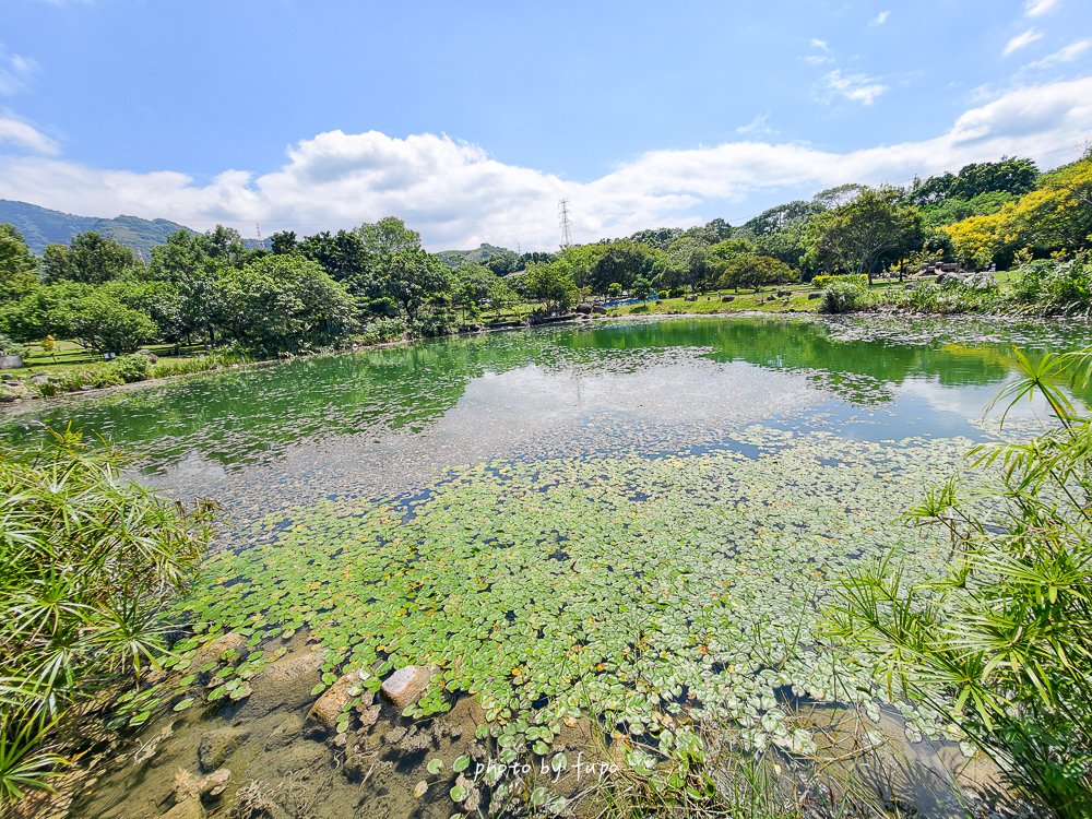 2026苗栗大湖免費親子景點｜雪霸國家公園汶水遊客中心，超大山林造景、山椒魚、台灣黑熊標本、木頭溜滑梯，雨天備案一次玩