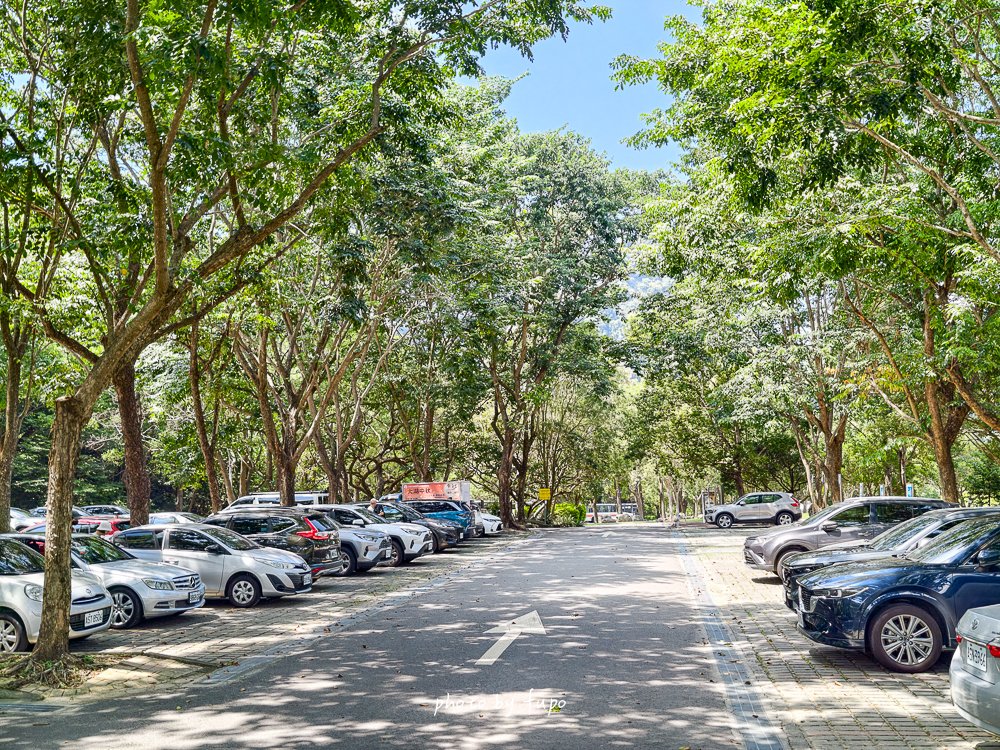 2026苗栗大湖免費親子景點｜雪霸國家公園汶水遊客中心，超大山林造景、山椒魚、台灣黑熊標本、木頭溜滑梯，雨天備案一次玩